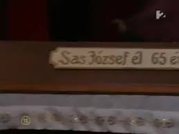 Sas 9.4 & sas viya. R5cnd8eibgvm8m