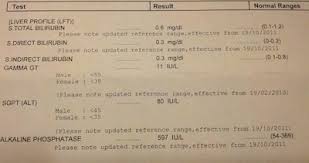 Dog Is Vomiting And Has Elevated Liver Enzymes Ask A Vet