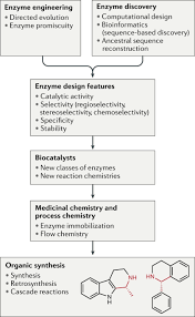 Mit der privatklinik döbling zusammenarbeitende ärztinnen und ärzte (belegärzte, ärzte im ordinationszentrum). Extending The Application Of Biocatalysis To Meet The Challenges Of Drug Development Nature Reviews Chemistry