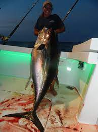 We did not find results for: Big Game Fishing Ri