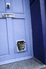 How To Install A Cat Door In A Hollow Core Door Wood Doors Interior Cat Door Hollow Core Doors