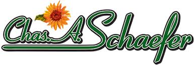 We did not find results for: York Florist Flower Delivery By Chas A Schaefer Flower Shop