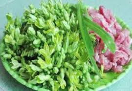 Có thể dùng hoa thiên lý chấm với muối vừng hoặc xào thịt bò sẽ giúp làm giảm đau nhức hiệu quả. Tac Dá»¥ng Cá»§a Hoa Thien Ly Ä'á»'i Vá»›i Sá»©c Khá»e Sá»Ÿ Y Táº¿ Nam Ä'á»‹nh