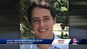 Cape Cod shark attacks show need for better cell service