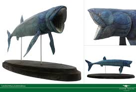 Especially important were the finds by the british collector alfred nicholson leeds, after whom the genus. Leedsichthys Facts And Pictures