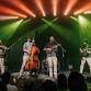 Dog's Out The Cage Tour // Mountain Grass Unit event image