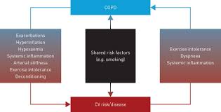 These conditions commonly affect normal airflow in the airways and lungs. Cardiovascular Disease And Copd Dangerous Liaisons European Respiratory Society