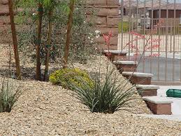 See more ideas about desert landscaping, backyard landscaping, garden design. Keep Your Las Vegas Yard Beautiful Year Round With The Right Plants