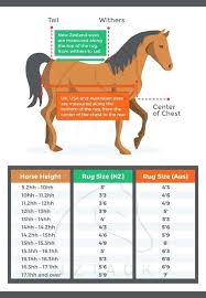 Horse Blanket Chart Guarderiacanina Co