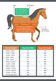 horse blanket chart guarderiacanina co