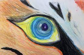 In this tutorial i'll walk you through some steps to practice using oil pastels to create more realistic drawings. Animal Eyes Art Lesson For Middle School Kids Leah Newton Art