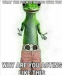 What is wrong with you people?? we are denounced for complicity in yesterday's atrocities. Yeah What The Fuck Is Wrong With You Reactionpics