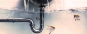That leak can be more costly than you plumbers munching mushrooms and saving a princess from evil. Highly Recommended Plumbers In Spokane Wa
