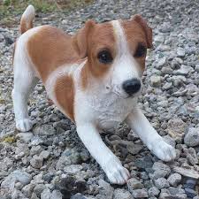 The jack russell terrier is a small terrier that has its origins in fox hunting in england. Verspielter Jack Russel Tierfiguren Gartenfiguren Dekoration Matelma Com