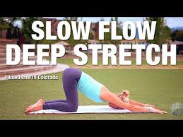 Five Parks Yoga Slow Flow Deep Stretch 30 Minutes Yoga Videos For Beginners Basic Yoga Yoga Therapy