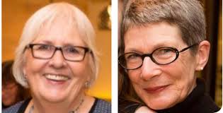 PDF) Developmental Observer