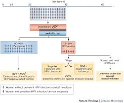 Human papillomavirus (hpv) is a group of viruses that are extremely common worldwide. Hpv Faster Broadening The Scope For Prevention Of Hpv Related Cancer Nature Reviews Clinical Oncology