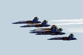 Image result for Blue 2009 Fleet