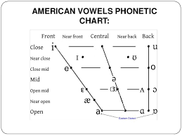1 The Basis Of Phonetics Phonology