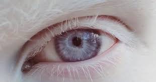 Sign Up Tumblr Beautiful Eyes Aesthetic Eyes Pretty Eyes