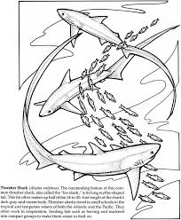 Welcome To Dover Publications Shark Coloring Pages Coloring Pages Butterfly Coloring Page