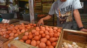 Informasi update harga telur ayam ras terkini kami hadirkan semaksimal mungkin setiap hari sebagai komitmen dan dedikasi ardhi borneo gemilang portal info ternak terdepan di indonesia kepada dunia peternakan unggas khususnya ayam ras petelur. Harga Telur Mulai Merangkak Naik Bisnis Liputan6 Com