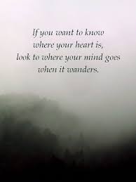 If You Want To Know Where Your Heart Is Look To Where Your Mind Goes When It Wanders Heart Quotes True Quotes Words Matter