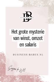Het Grote Mysterie Van Winst Omzet En Salaris Budgettering Financien Boekhouding Financien
