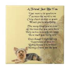 Rainbow Bridge Pet Poem Printable Google Search Pet Poems Yorkshire Terrier Yorkshire Terrier Dog