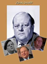 Matthew Peele's role in The Sandbaggers TV series