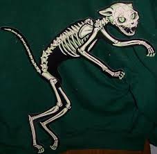 What was the halloween decor like in the early 1900s? Vintage Beistle Skeleton Cat Vintage Halloween Vintage Halloween Photos Vintage Halloween Creepy Vintage