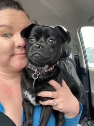 Birthday Wishes and Celebrations