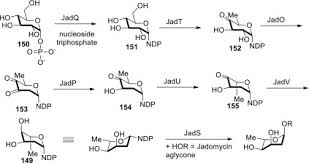Maybe you would like to learn more about one of these. Biosynthesis Synthetic Studies And Biological Activities Of The Jadomycin Alkaloids And Related Analogues Sciencedirect