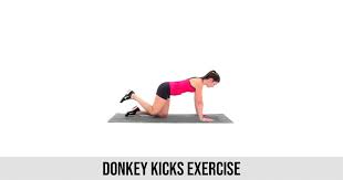 Check spelling or type a new query. Donkey Kicks Exercise World Wide Lifestyles Weight Loss And Gain Tips