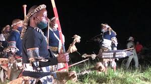 The database has more than 16.000 cultivars. Death Of A Zulu King He Is Planted Not Buried Bbc News