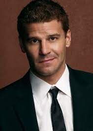 Who plays booth in bones. Special Agent Seeley Booth Bones Tvmaze
