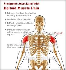 Pin On Exercise