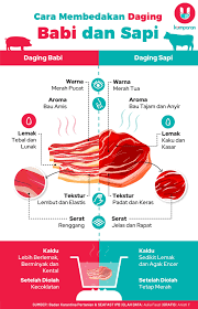Beda daging sapi, celeng dan babi. Awas Salah Pilih Ini 5 Cara Membedakan Daging Babi Dan Sapi Kumparan Com