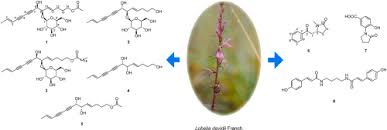 Image result for lobelia combine composition