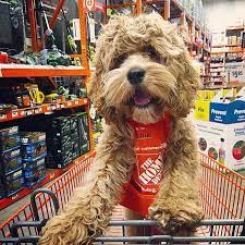 We did an online order for one item for a diy project. The Home Depot