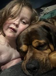 Supporting pet rehoming with kindness and compassion