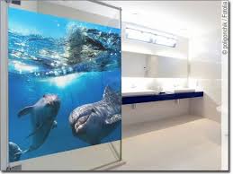 Passgenaues Glasbild Mit Delphinen Furs Badezimmer Duschwand Glasbilder Bilder