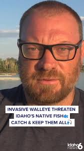 🚨 Conservation alert! Idaho Fish & Game pulled 31 walleye from Lake Lowell  last year, raising serious concerns for local fisheries. , These invasive  predators eat constantly and could devastate ...