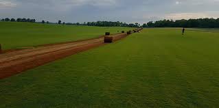 Maybe you would like to learn more about one of these? Welcome To Noco Sod Noco Sod Barnesville Colorado