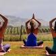 Yoga in the Vines