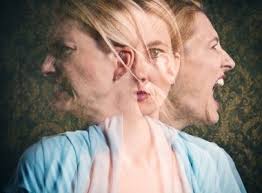 Legal updates Archives