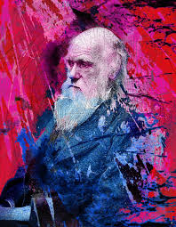 Darwin Art Print By Angelo Lo Presti X Small Art Prints Art Darwin
