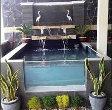 Mutasi ikan cupang avatar asli. Selamat Malam Teman Nah Kali Ini Kita Mau Post Karya Seni Yang Lain Ya Nah Ini Adalah Karya Kita Yang Lain Disam Fish Ponds Backyard Ponds Backyard Pond Design