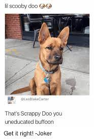 Joker Memes And Scooby Doo Lil Scooby Doo Leoblakecarter That S Scrappy Doo You Uneducated Buffoonget It Right Jok Funny Dog Pictures Scrappy Doo Animals