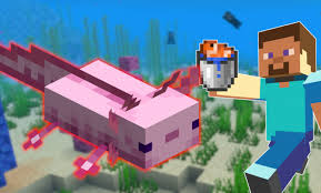 Jun 14, 2021 · purple axolotl minecraft is one of the most famous minecraft mods, and it is a highly addictive game. Los Jugadores Quieren Domesticar Axolotl En Minecraft Asi Que Los Atrapas